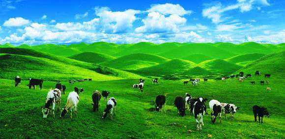 为什么澳洲的奶粉比国版的便宜,澳洲奶粉好还是俄罗斯奶粉好