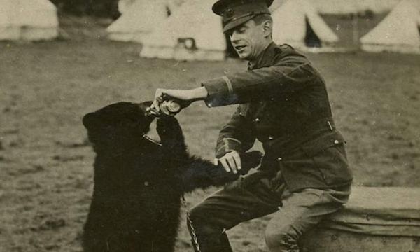 小熊维尼真有其熊，还与一名加拿大军人有段感人的故事