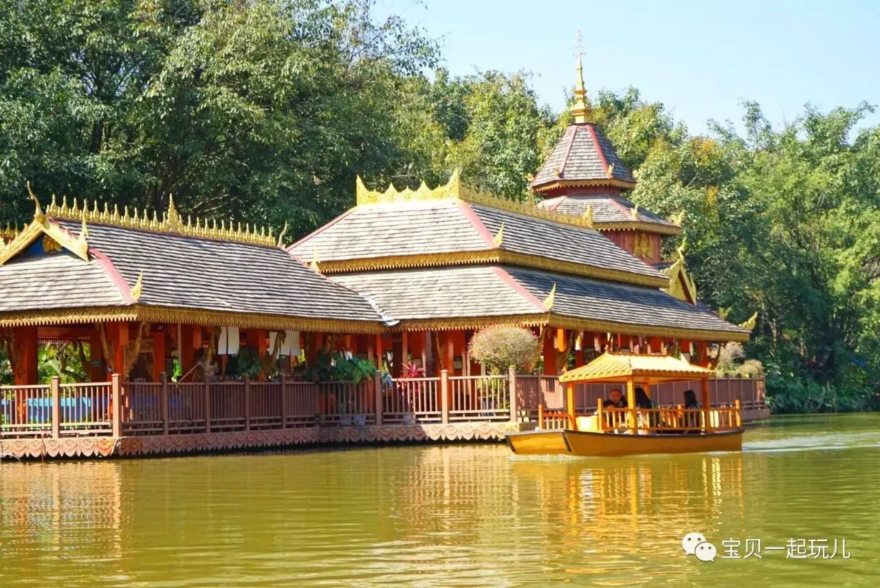 老娘的青春那么短，花点钱开心又何妨