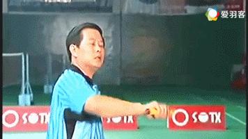 羽毛球教练新手入门教学,羽毛球教学陈教练