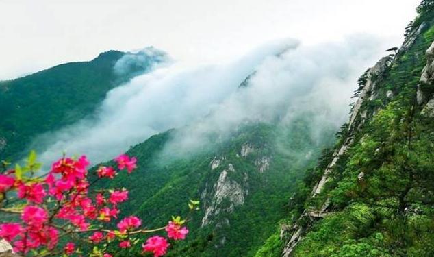 春风里，大爱罗田！