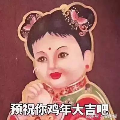 世界十大冻干粮排名,哪个牌子的冻干粮好