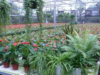 现在创业好生意有哪些项目,穷人适合做什么生意简单创业项目