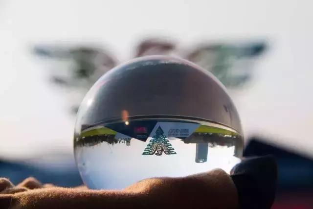 120岁生日倒计百天！爱浙大有120个理由，也许1个已足够！