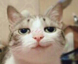 网游梦三国中的奇葩外号，“智障阿斗”刘禅！