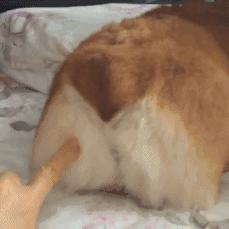 鸡蛋护肤品,年度好用精华