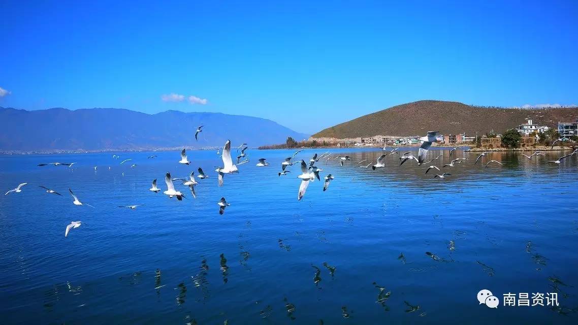 南昌出发最便宜的飞机票,南昌出发到哪里的机票最便宜