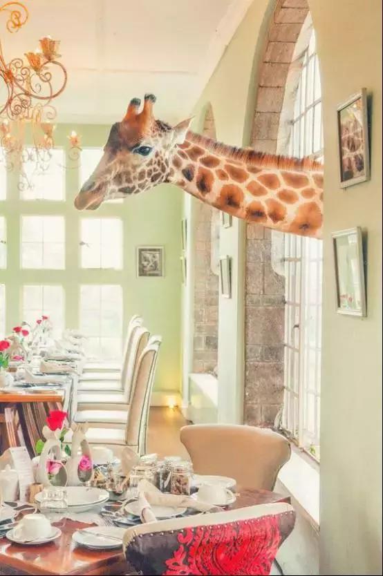 情人节去哪里吃最浪漫,情人节在哪里吃饭最合适