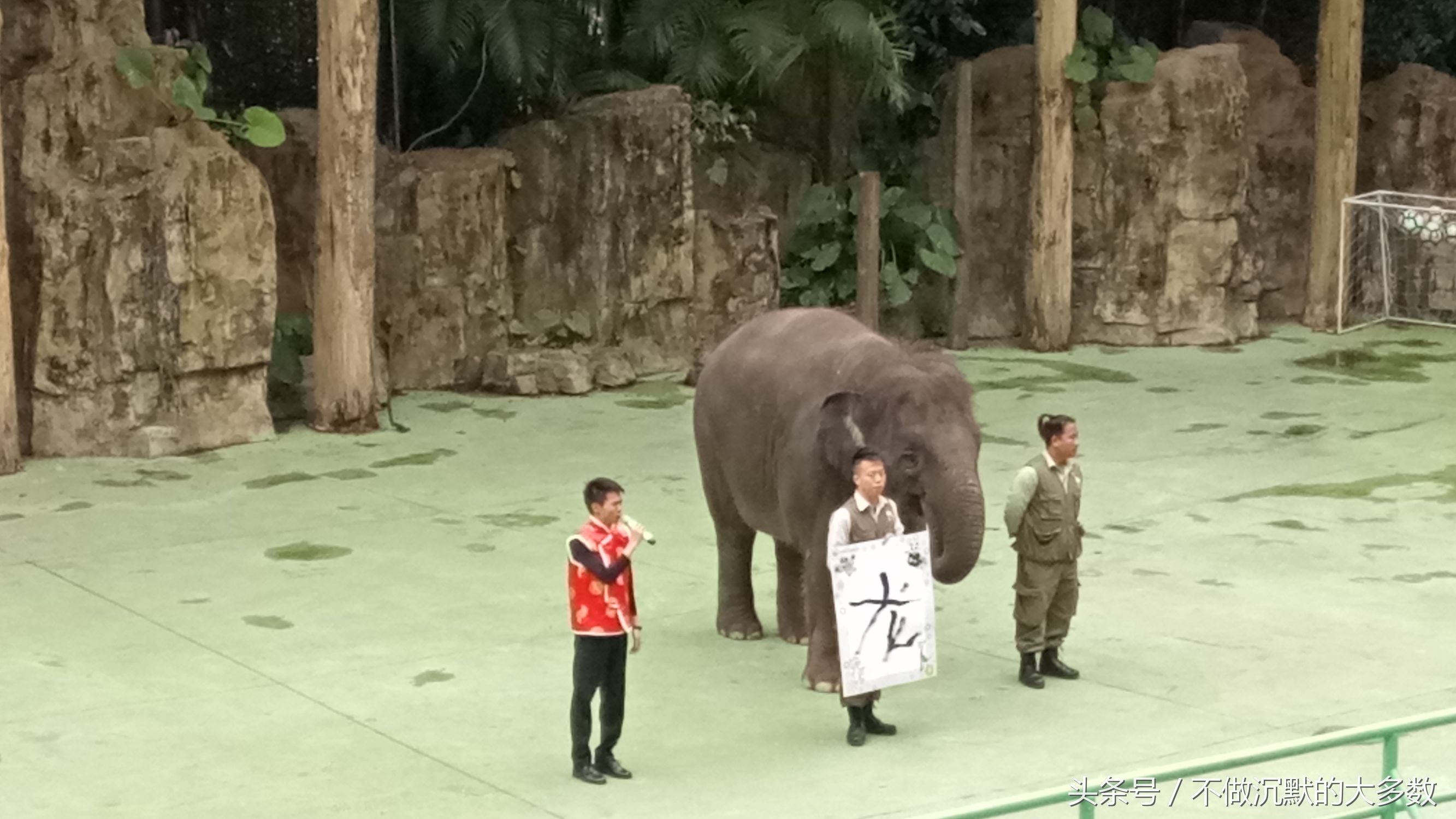 长隆野生动物园金蛇秘境有毒蛇吗,长隆野生动物园金蛇秘境怎么走