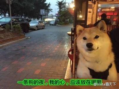 拖拉机般的笑声啥意思,笑出拖拉机般的笑声