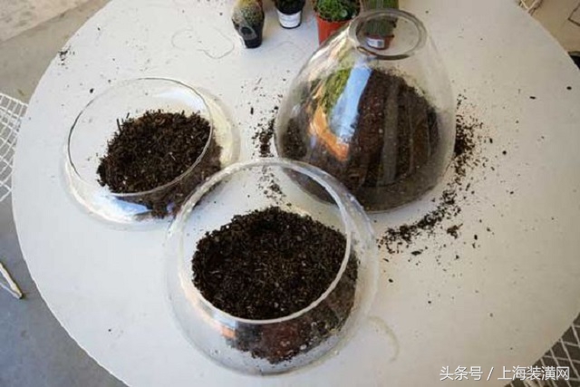 大空鱼缸怎么利用,空鱼缸很久没用了再用怎么处理