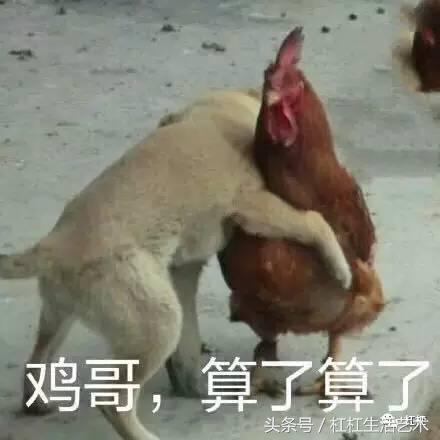 丁酉是什么火,丁酉是不是就是丁火