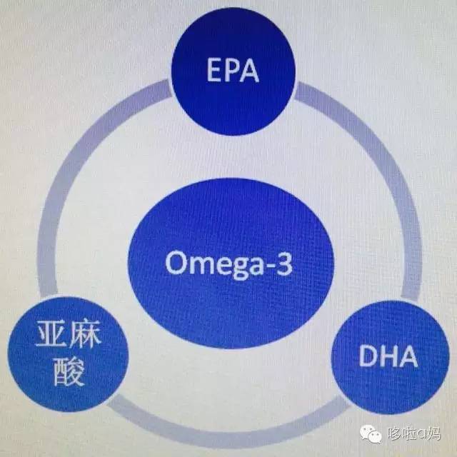 全家一起补营养,全家补充维生素吃哪种实惠