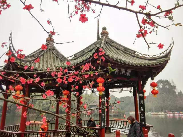 鑺辨捣閲嶇鏉ヨ,鑺辨捣鏉ヨ