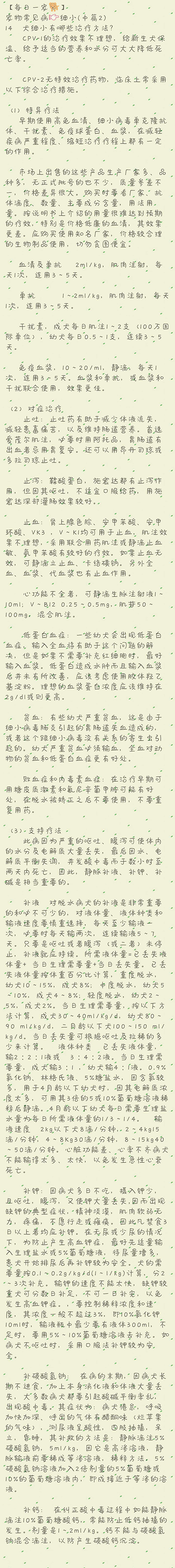 宠物腹泻时如何正确处理伤口,宠物腹泻和拉稀的区别在哪个部位