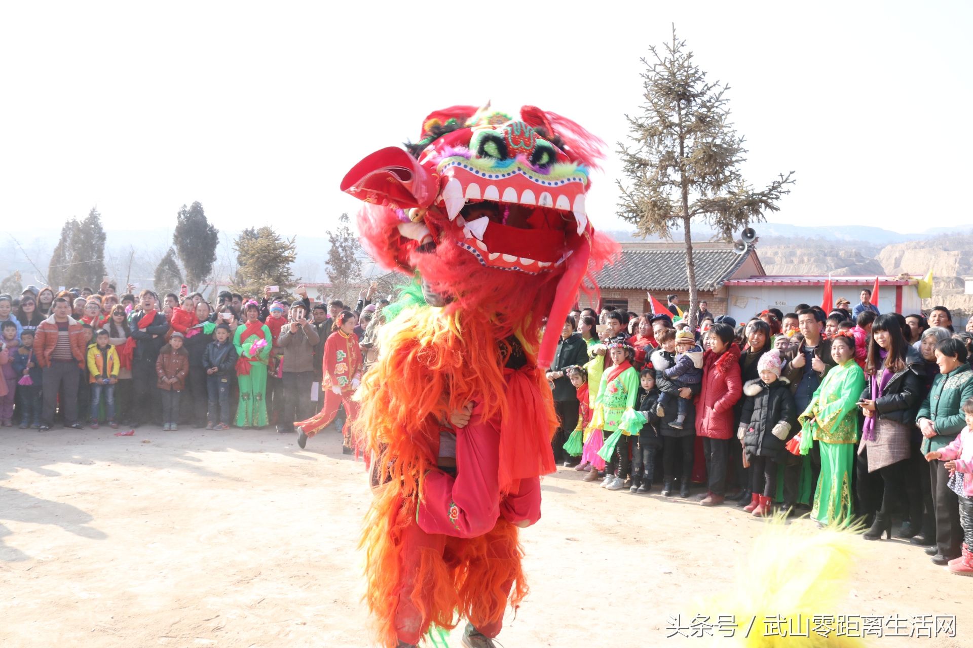 武山秧歌航拍,武山秧歌耍马