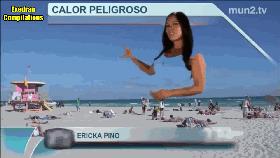 喵：天下武功，唯快不破