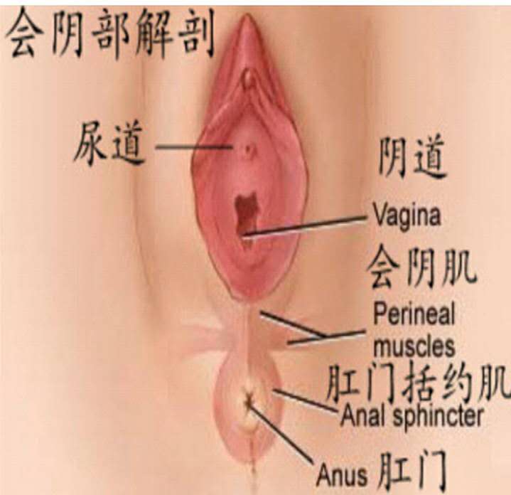 女子警报器响起,女生拉响警报器