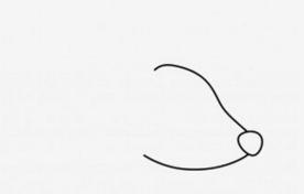 刺猬简笔画简单又漂亮,刺猬简笔画冬眠