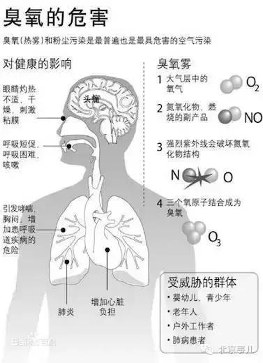 43度高温天气对人体有影响吗,41度高温危害