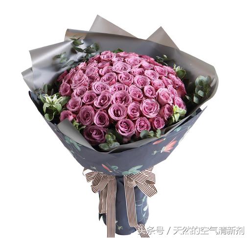 情人节手拿满天星花束最新款图片,情人节创意花束一秒征服吃货的心