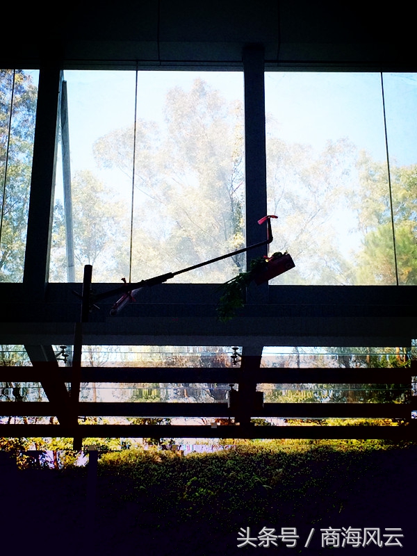 新店开业请舞狮讲究有哪些,醒狮队请财神