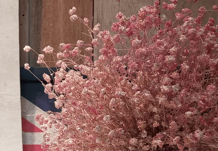 motom手机怎么样,motox手机评测