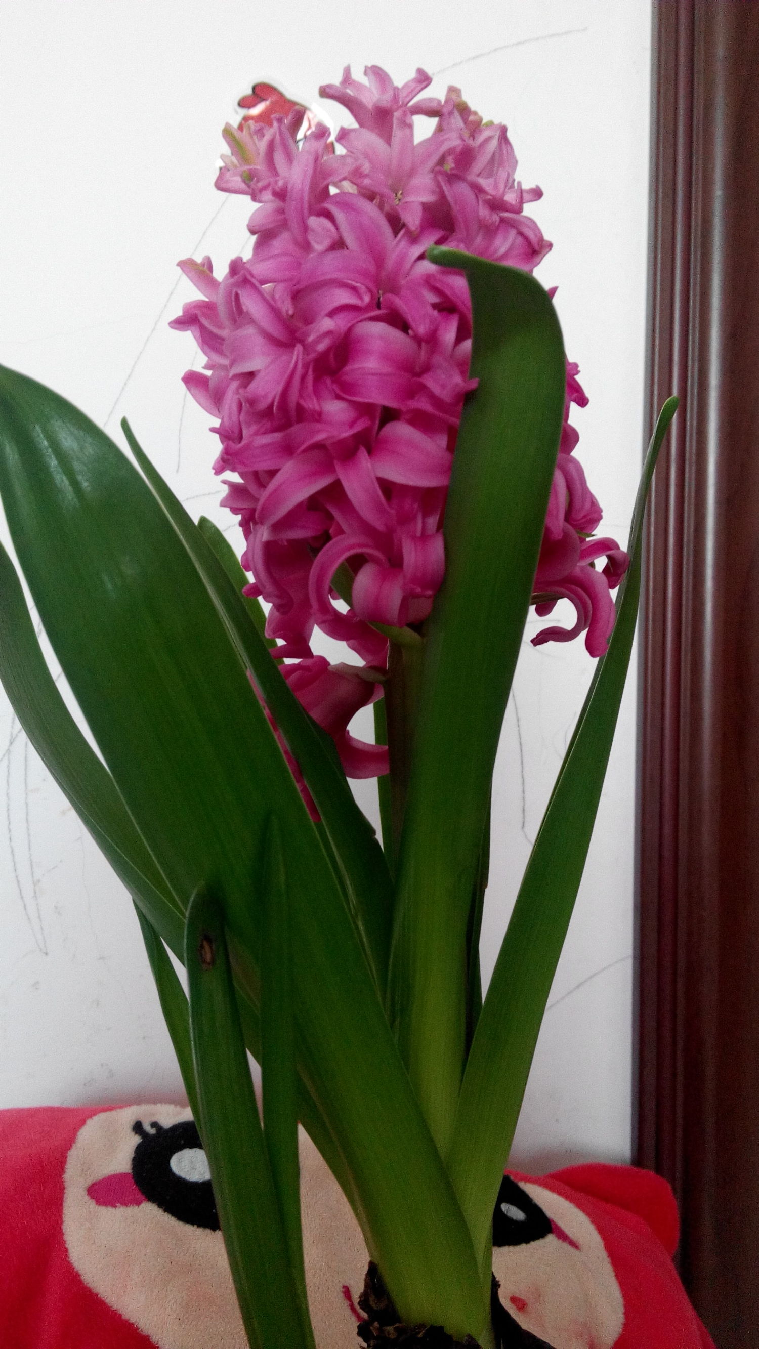 高强度使用三年的红米手机鼻祖红米1s现在使用体验怎么样?