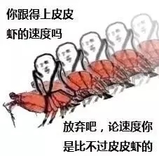 皮皮虾（办公设备租赁）我们走