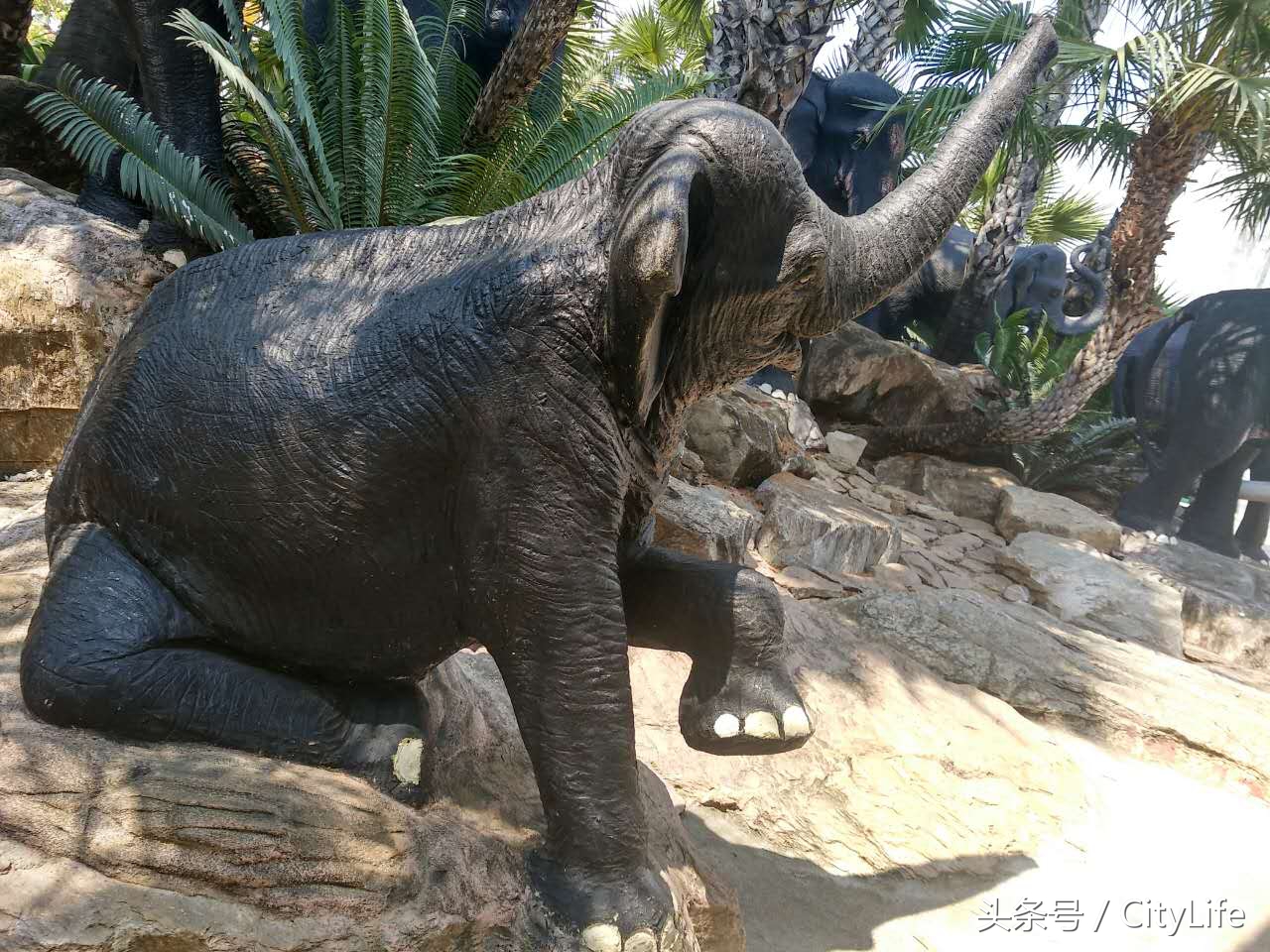 泰国芭堤雅东芭乐园,泰国芭提雅东芭公园