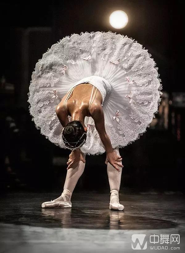 舞蹈是一门什么样的艺术,舞蹈是一门唯美又残酷的艺术