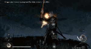 ps4仁王忍者流,PS4仁王选哪个