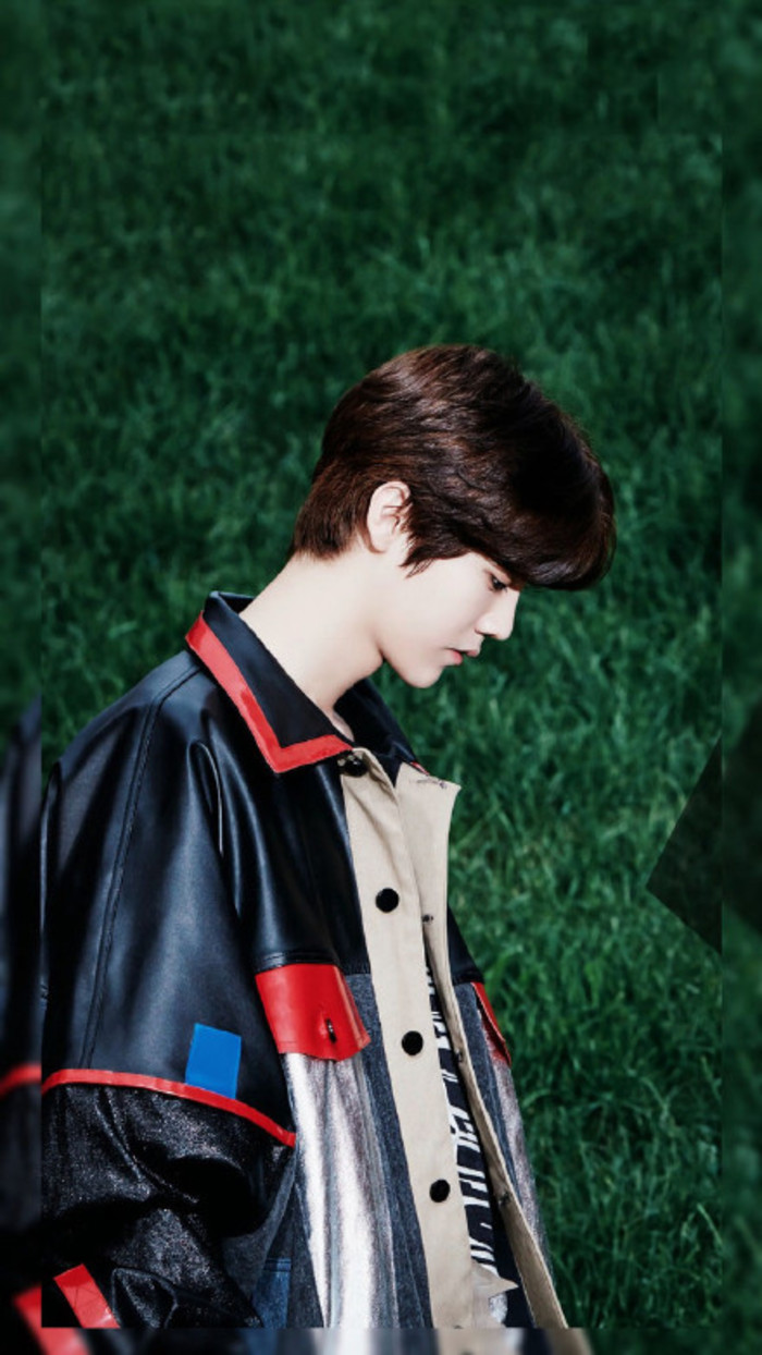 苹果11壁纸猫耳朵鹿晗,鹿晗图片高清壁纸全屏