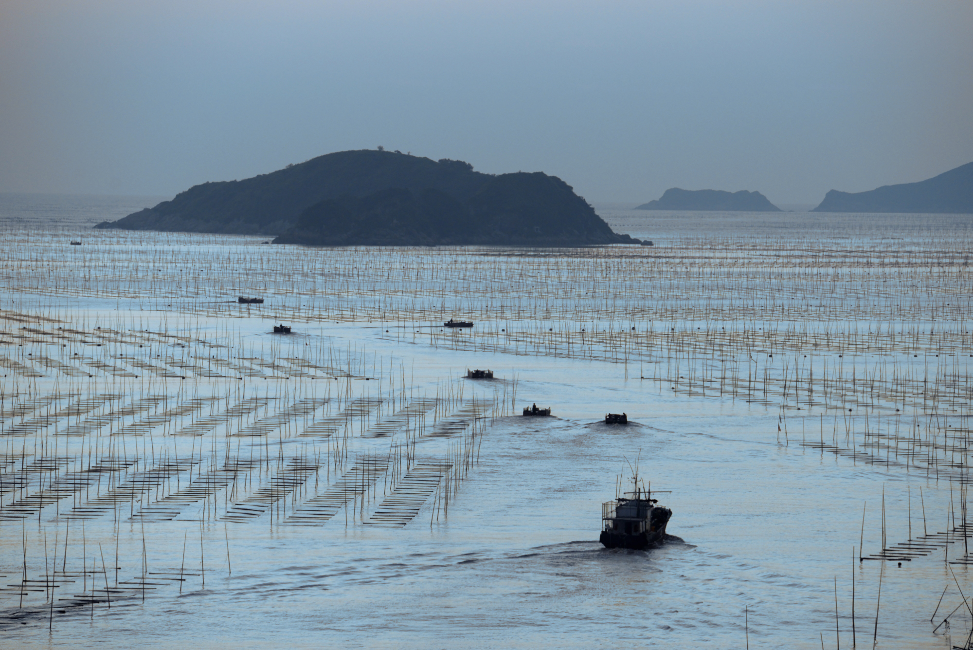 阴天霞浦北岐滩涂照片,霞浦北岐滩涂日出攻略