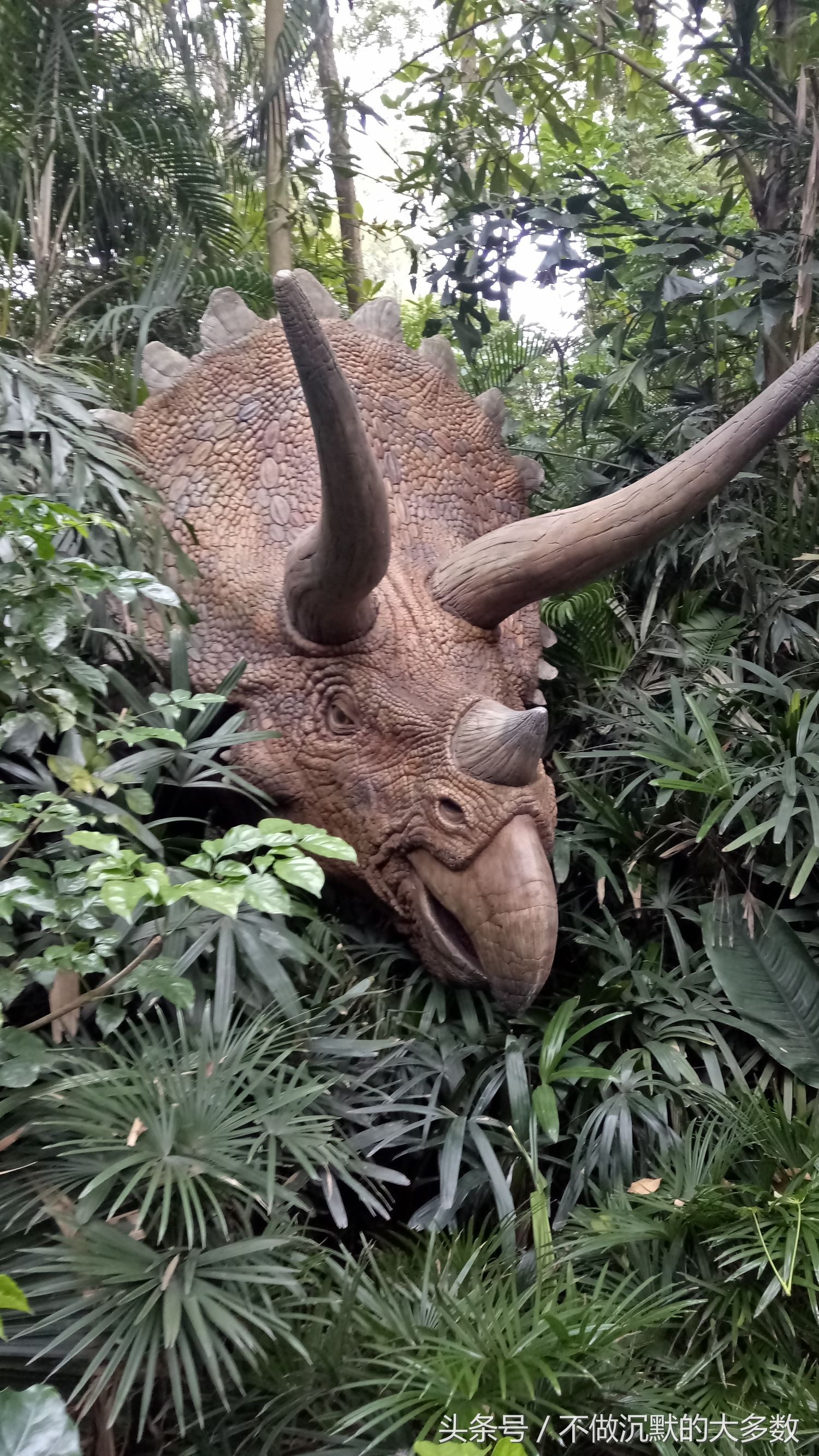 长隆野生动物园金蛇秘境有毒蛇吗,长隆野生动物园金蛇秘境怎么走