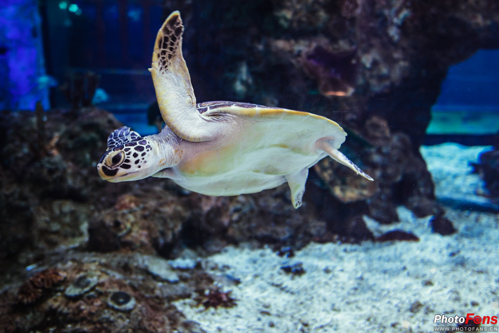 浣宠兘eosm5,eosm5