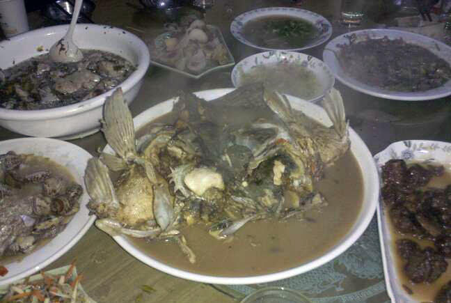 牛人自制鱼竿钓鱼,自制手竿鲤鱼钓组