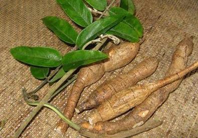 强筋健骨治腰肌劳损,腰肌劳损是不是要强筋健骨