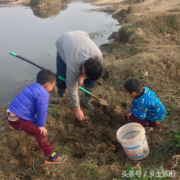 农村小伙河边挖这个,一斤好几百,也许是个致富项目