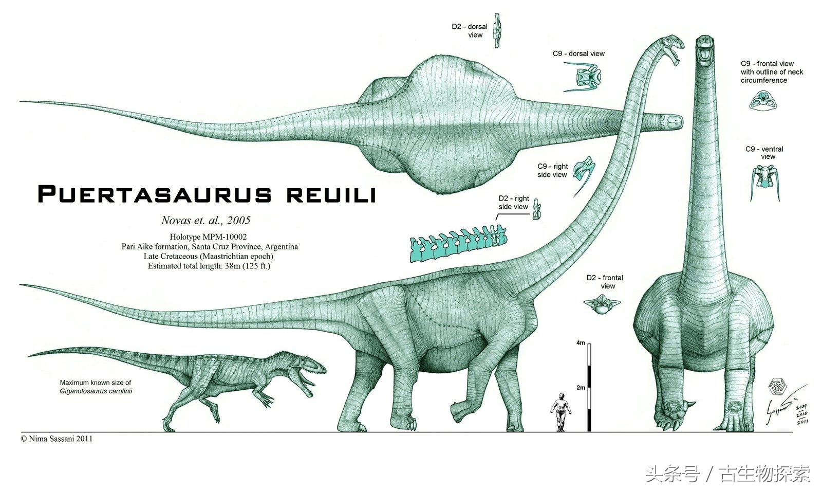 普尔塔龙恐龙视频,普尔塔龙