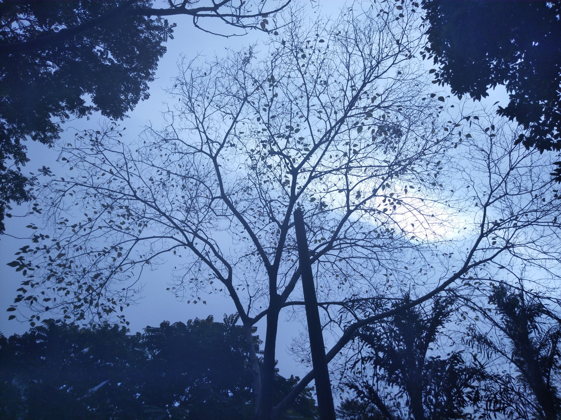 努比亚z11开箱,努比亚z11mini