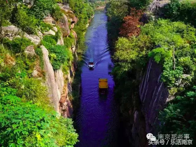 南京踏青赏梅乐享春光,赏梅园