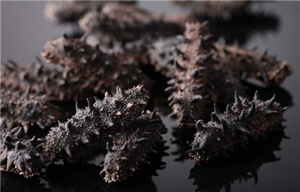 野生海参40个一盒多少钱,野生海参一盒18只多少钱