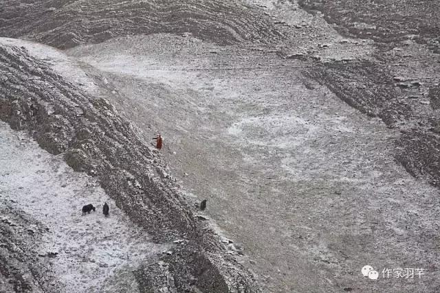 藏婚｜我爱你好好，但我无法娶你-08