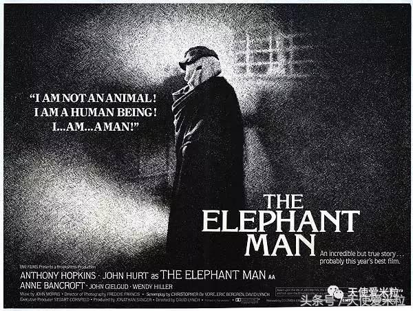 导演篇:别哭,他们也是奥斯卡遗珠