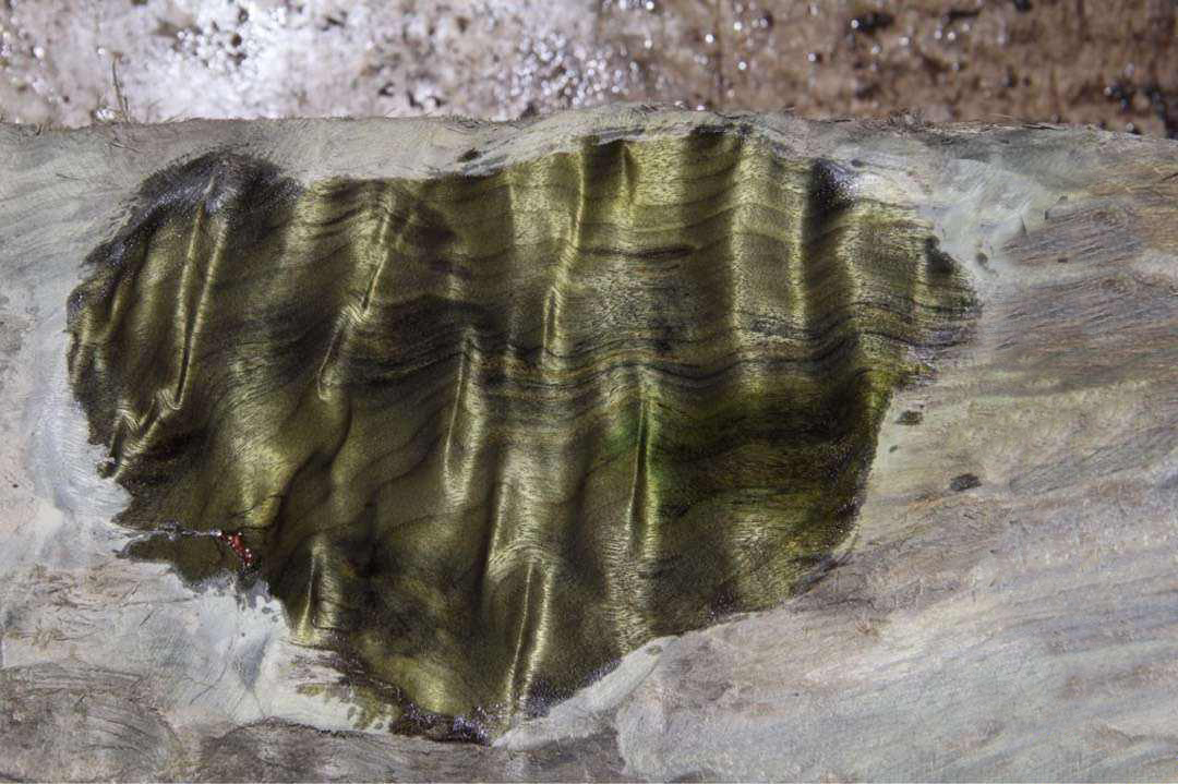 一把木吉他能值多少钱,吉他金丝楠木