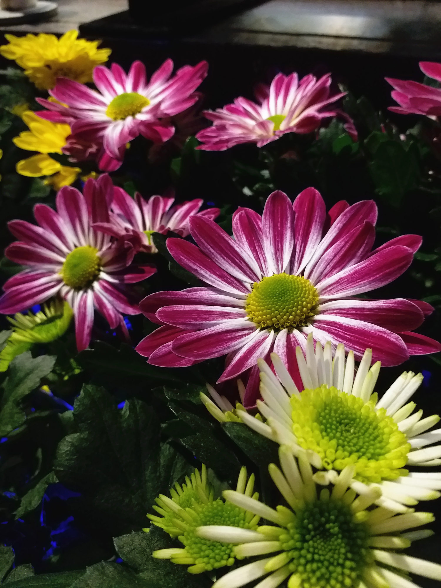 三星c7pro最新谍照,三星galaxyc7pro的性能测试