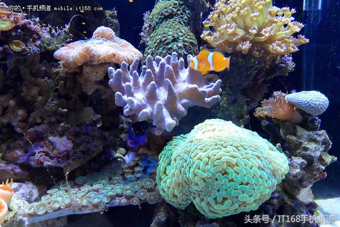 魅蓝5g手机多少钱,魅蓝500元以下的手机推荐