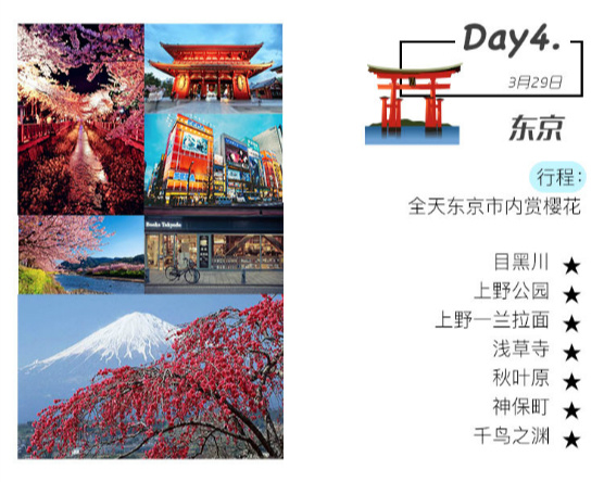 樱花短途旅行包大容量,樱花三月去踏青加长版