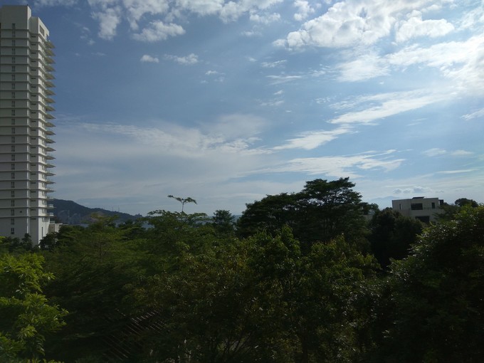 论一个吃货的自我修养小说,论一个吃货的自我修养